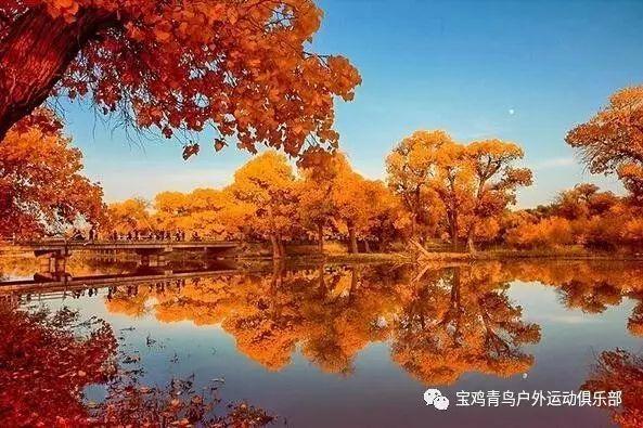 英文字母连接